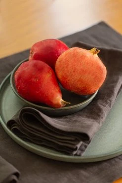 Jenny Graham Home LINEN NAPKIN Womens